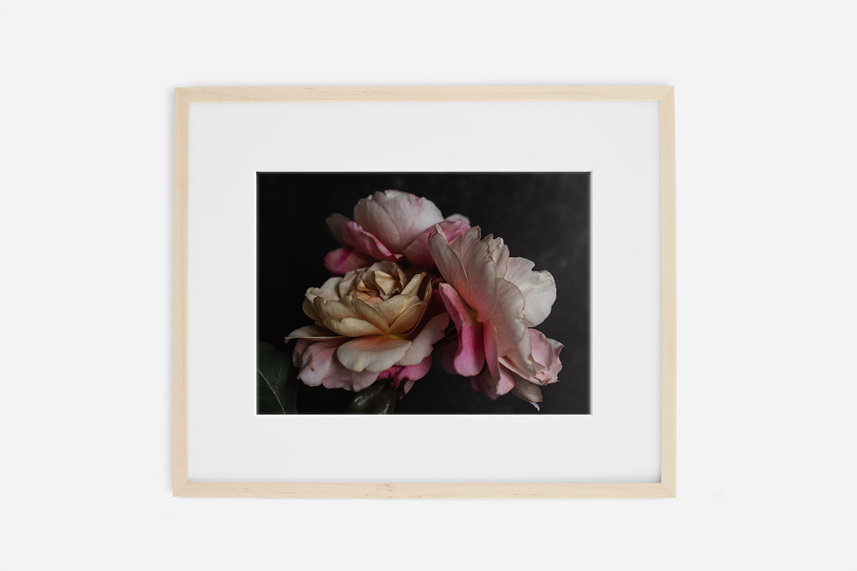Distant Drums I – The Print Shop by Chelsea Macor